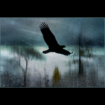 Product picture Never Too Late